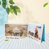 Box pouch with zipper for Pet Snack products